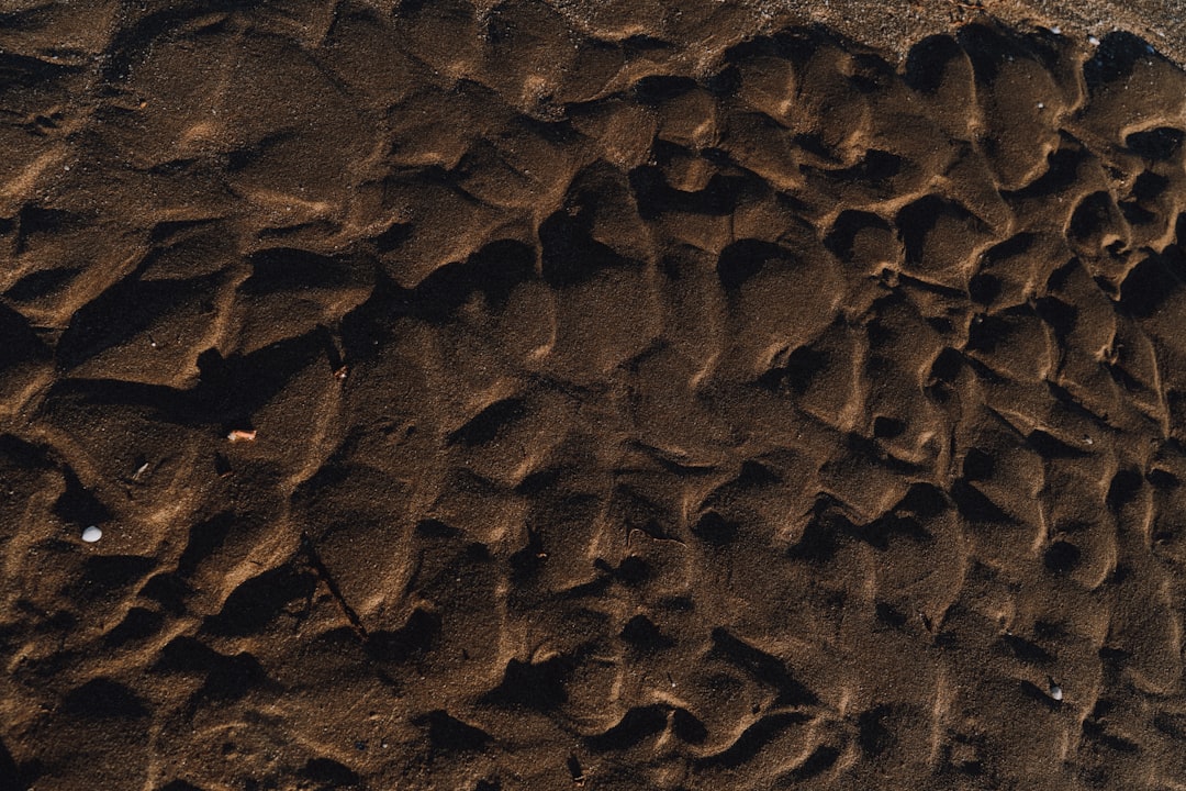 Discover Bulgaria's Literary Soul: A Guide to the Best Local Book Markets