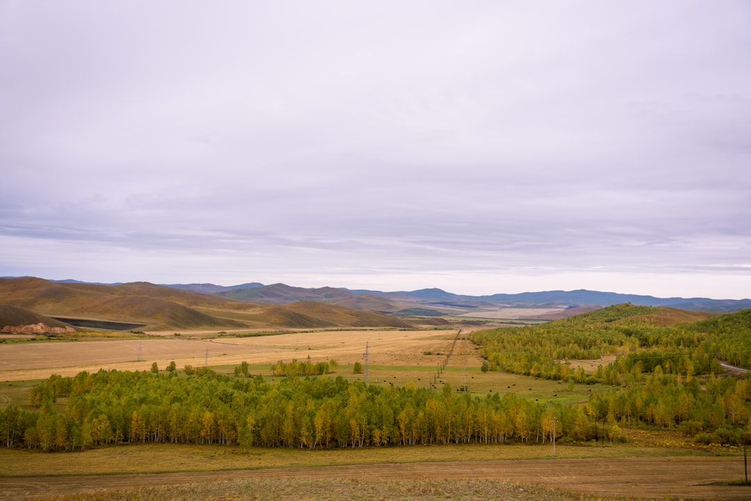 Navigating the Language Barrier in Mongolia with Ease