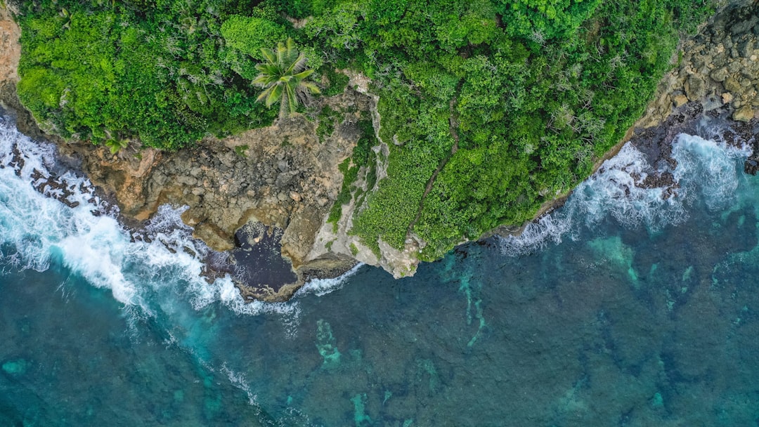 Top 5 Luxury Resorts for a Dream Vacation in Puerto Rico