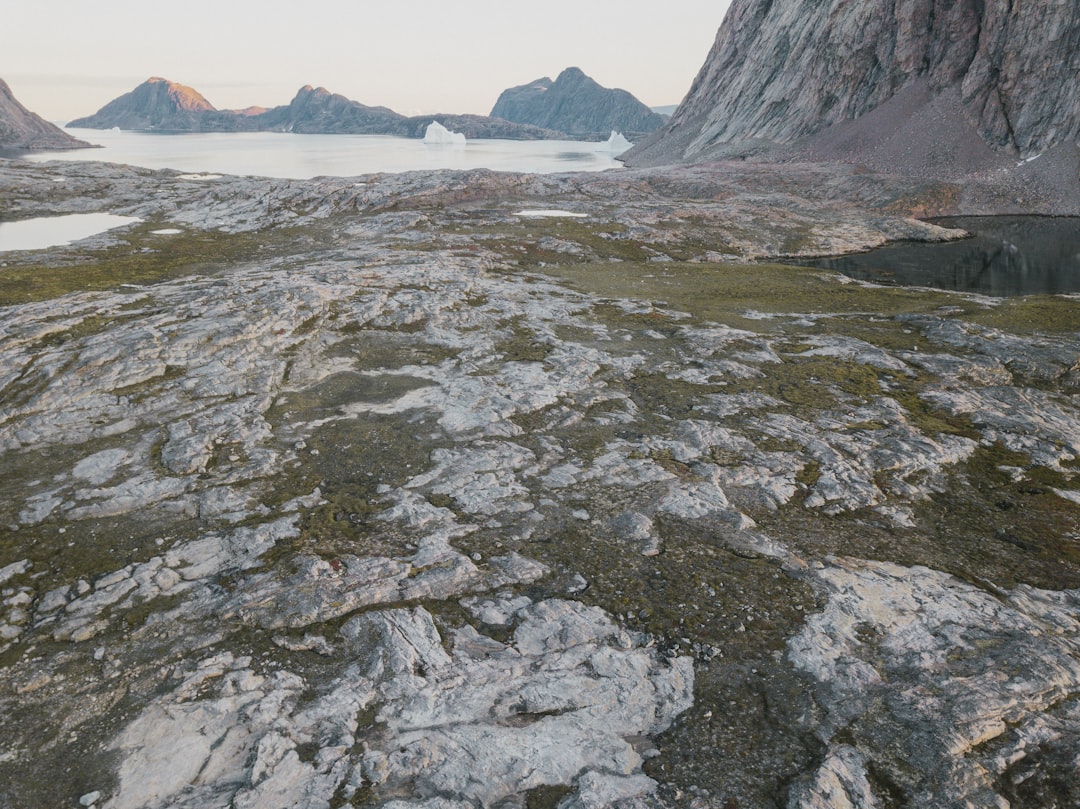 Greenland Birding Guide: Discover Arctic Avian Wonders