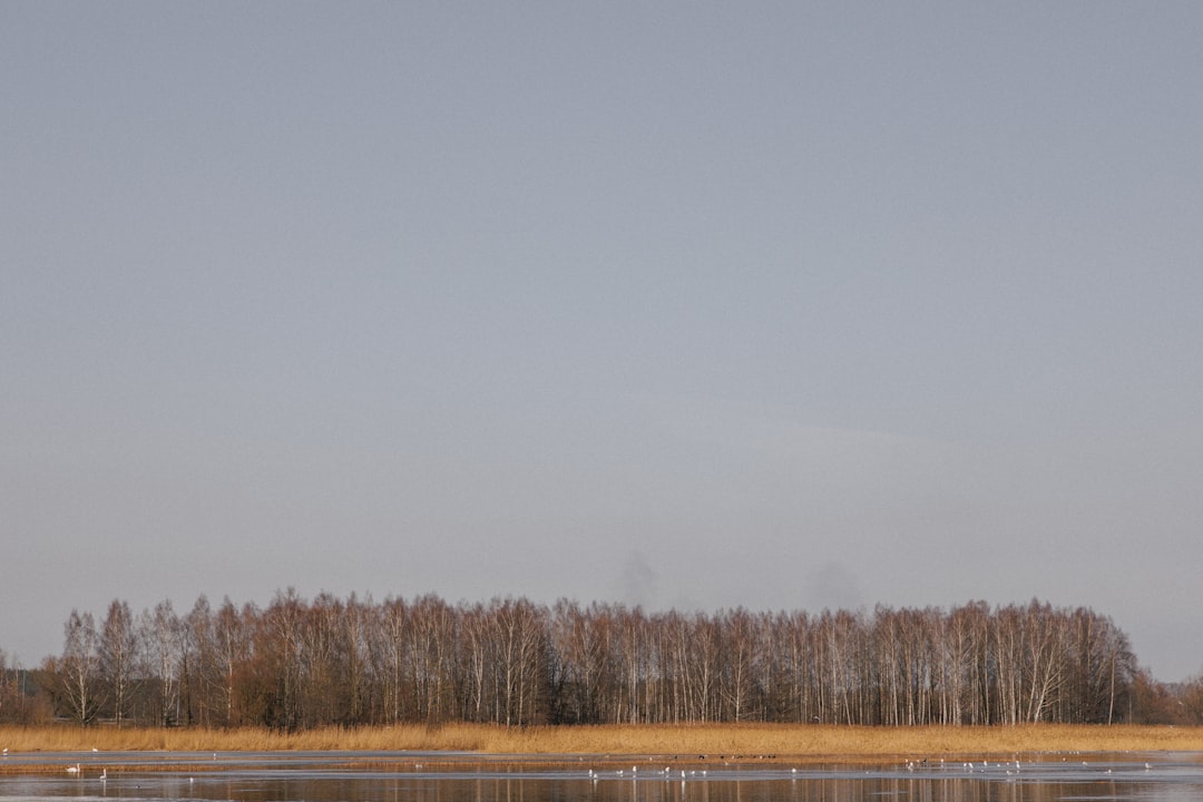 Discover Latvia's Soul: The Best Places to Experience Traditional Festivals