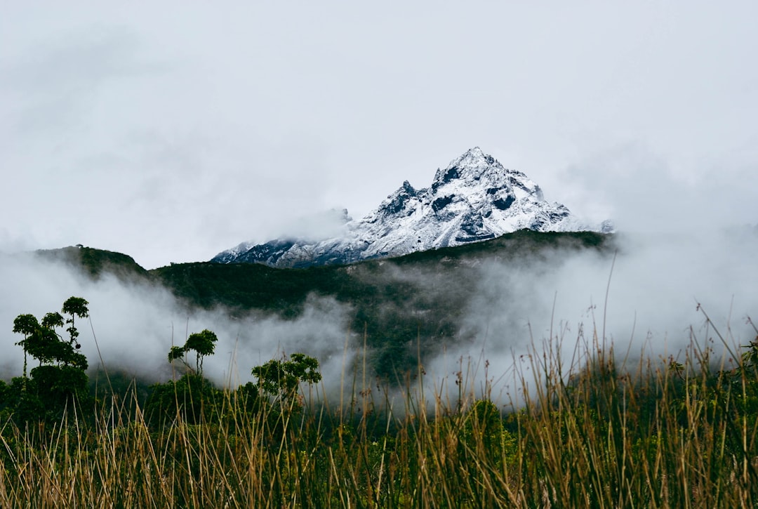 Ecuador Tipping Guide: Navigating Service Fees & Culture
