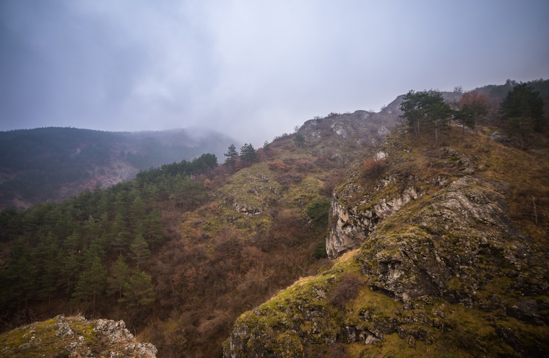 The Best Places for a Forest Bathing Experience in Bulgaria: Discover Shinrin-Yoku Retreats