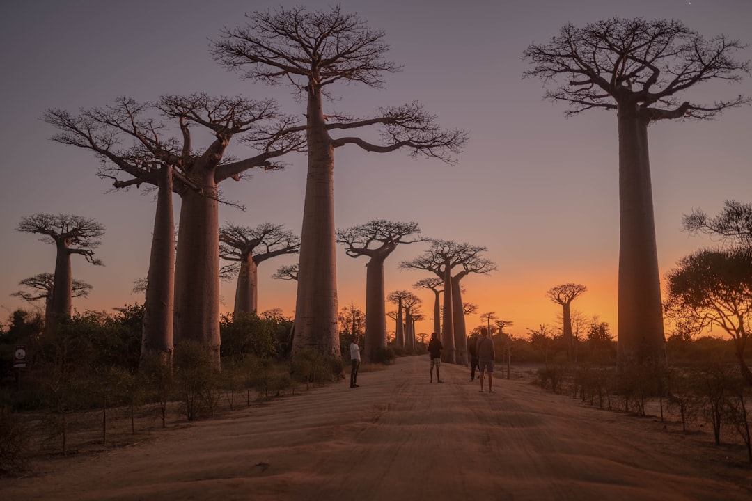 Madagascar's Island Paradises: Discovering the Most Beautiful Shores