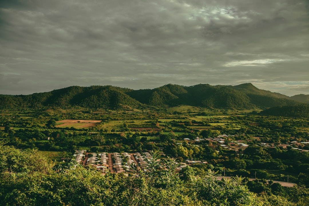 Unearthing Treasures: Your Ultimate Guide to Honduras' Top Outdoor Vintage & Antique Markets