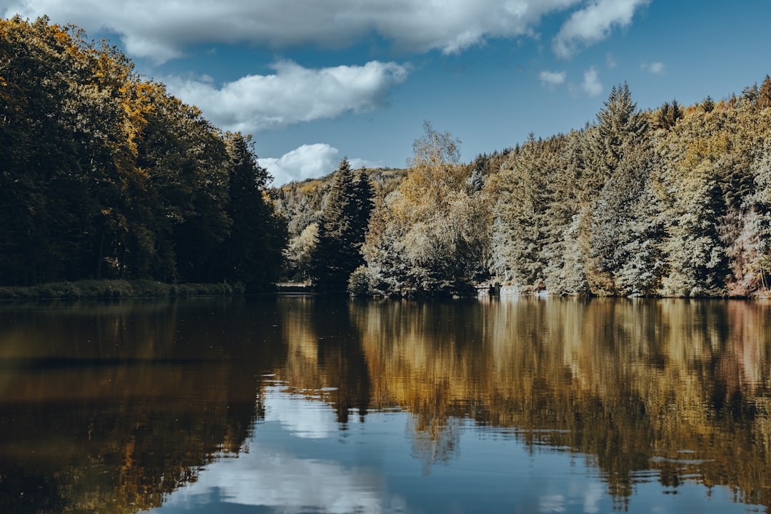 Discover Luxembourg's Watery Wonders: The Best Scenic Ferry Rides and Boat Trips