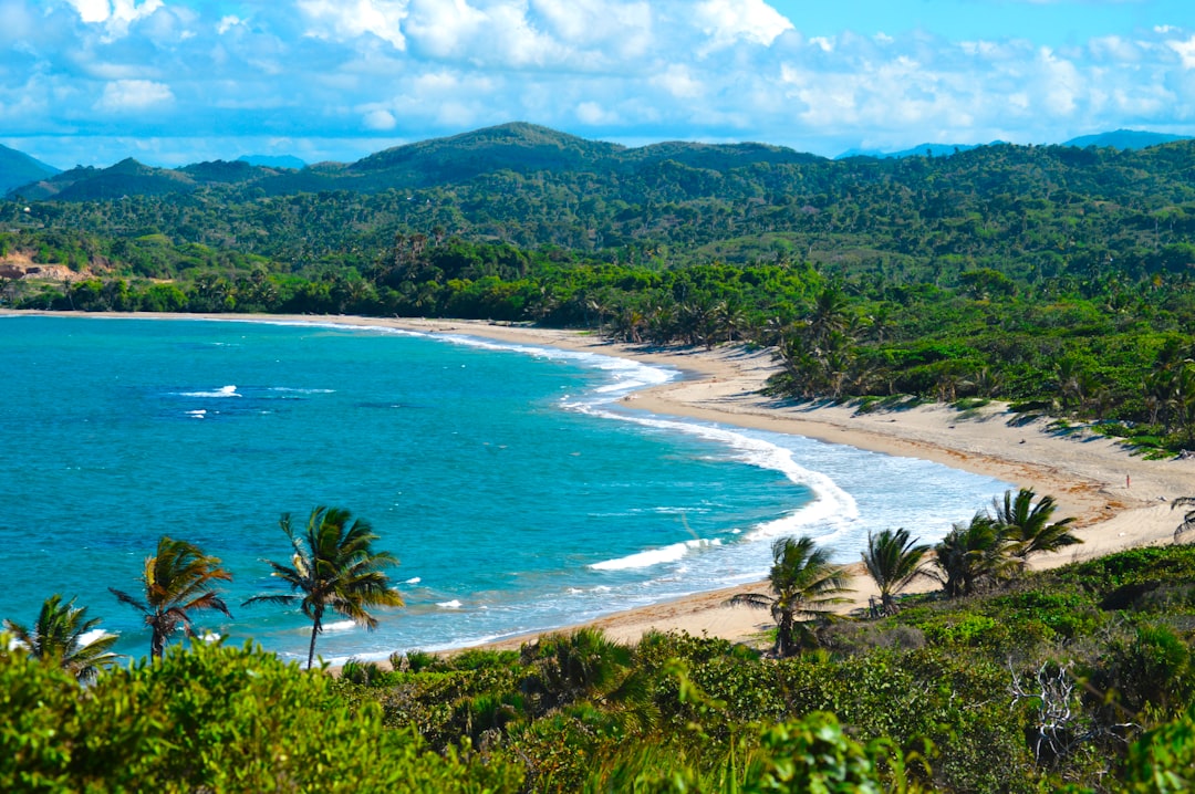 Discover the Best Local Drinks & Spirits of the Dominican Republic: Your Ultimate Guide