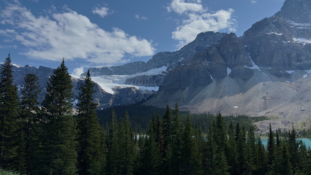 A Culinary Journey: Must-Try Traditional Dishes in The Commonwealth of Independent States