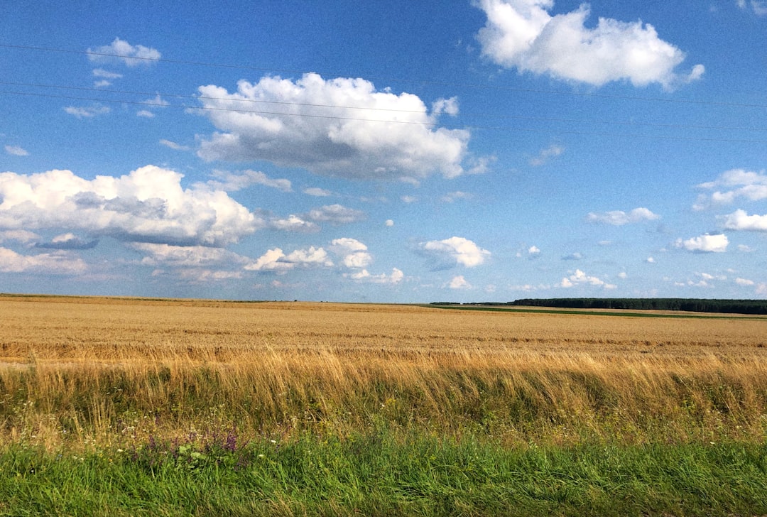 Navigating Travel to Ukraine: Essential Guide to Securing Travel Insurance