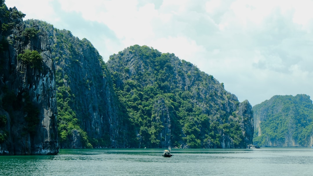 Discover Asia's Top Forest Bathing Destinations: Reconnect with Nature (Shinrin-Yoku)