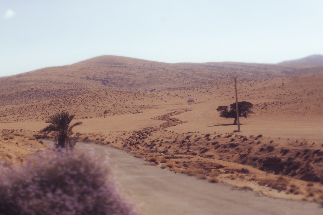 How to Visit Algeria on a Solo Female Traveler’s Budget
