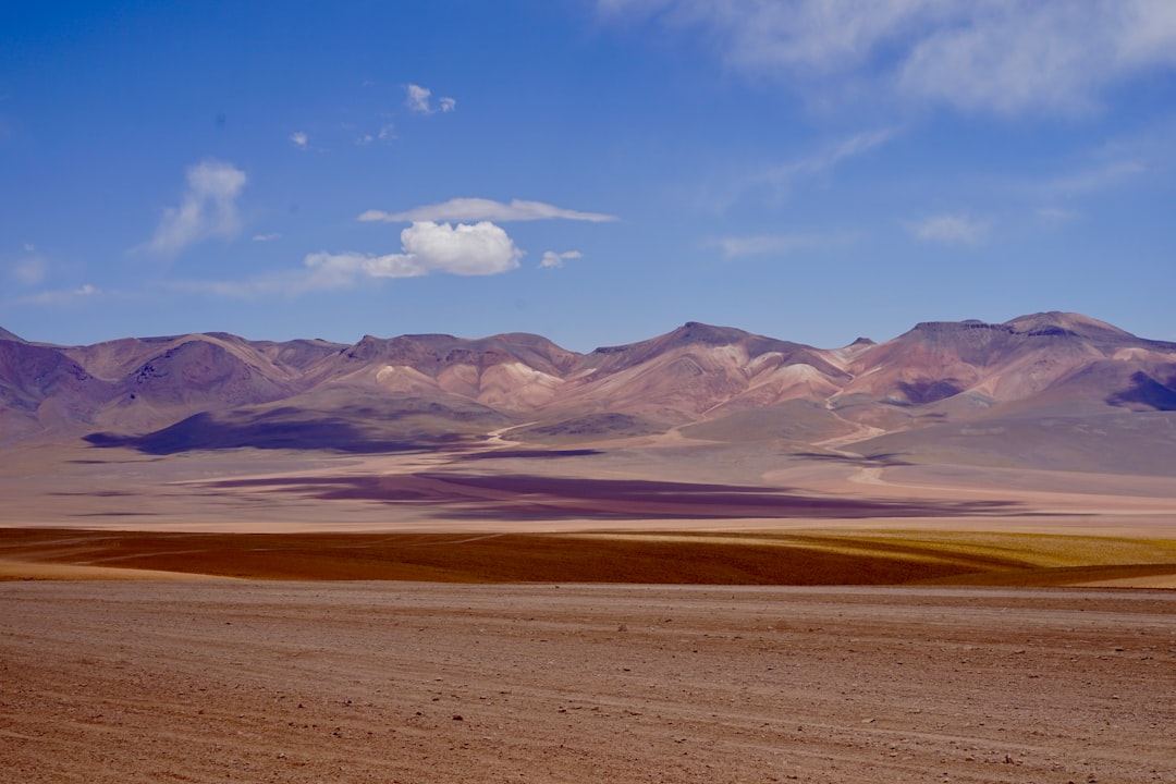 Explore Bolivia's Wild Heart: Unforgettable Wildlife Spotting Destinations