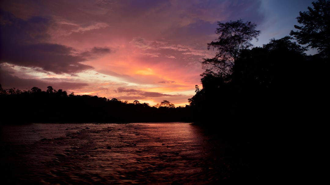 Discover Brunei's Literary Gems: Top Libraries & Bookstores to Explore