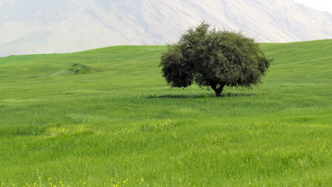 Soar Above Persia: Unveiling Iran's Top Paragliding and Skydiving Destinations