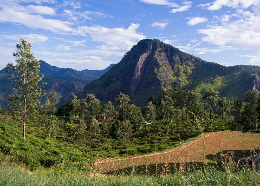 Explore Sri Lanka: Your Guide to Public Bicycles & Scooter Rentals