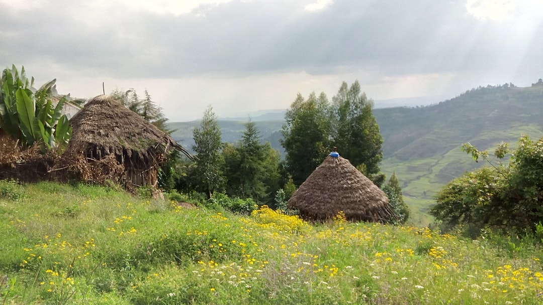 The Best Beaches in Ethiopia for Sun, Surf, and Sand