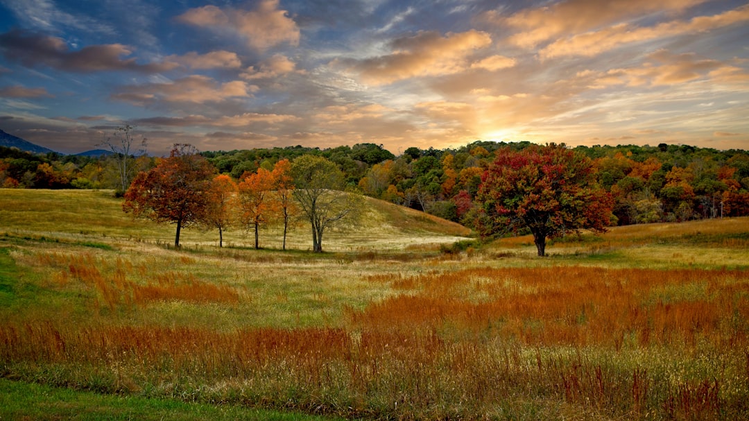 Explore Jersey by Bus: Your Ultimate Guide to Breathtaking Scenic Routes