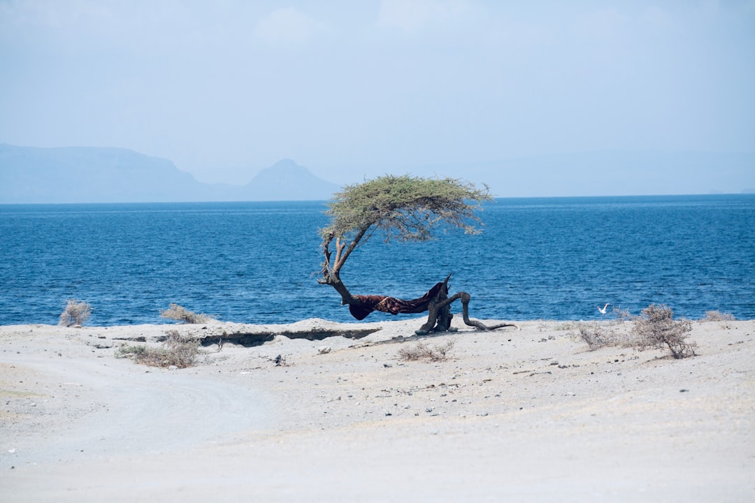 Whale and Dolphin Watching in Ethiopia: Unraveling the Myth