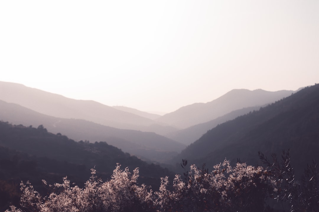 Volunteer Smart: Your Guide to Ethical Travel & Volunteering in Algeria