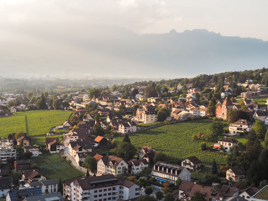 Liechtenstein's Best Scenic Walks: Unveiling Alpine Beauty & Panoramic Views