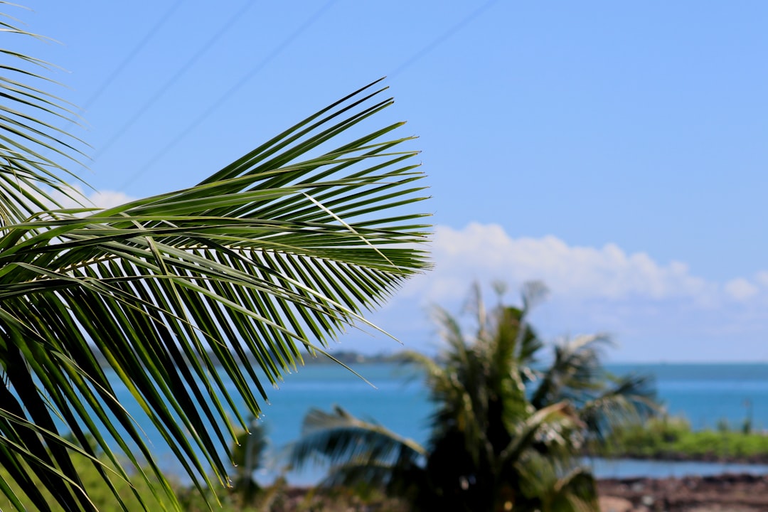 Discover Samoa's Tropical Treasures: A Guide to Its Best Botanical Gardens