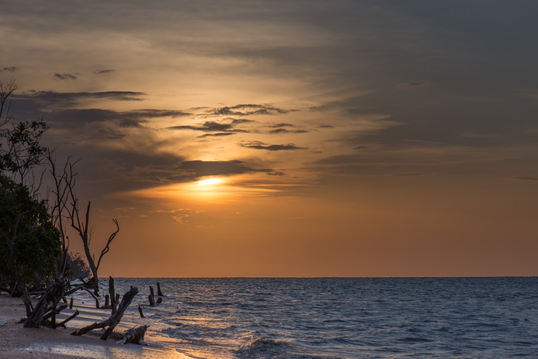 Discover Suriname's Most Scenic Train Journeys: An Unforgettable Adventure
