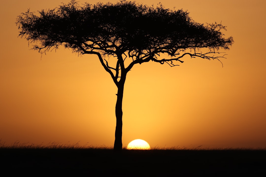 Visiting Kenya on a Shoestring: A Backpacker’s Handbook