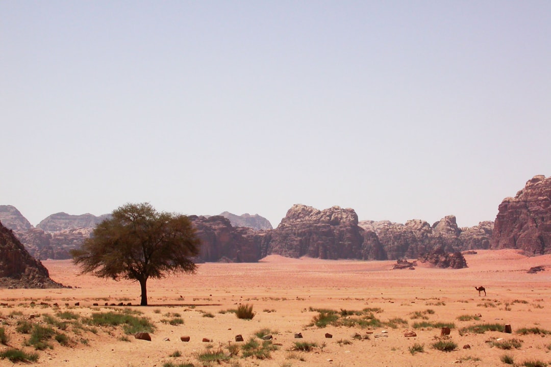 Mastering Jet Lag: Your Essential Guide for Travel to the Middle East