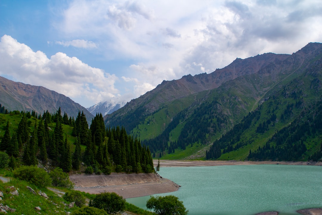 Exploring the Best Local Antique Markets in Kazakhstan