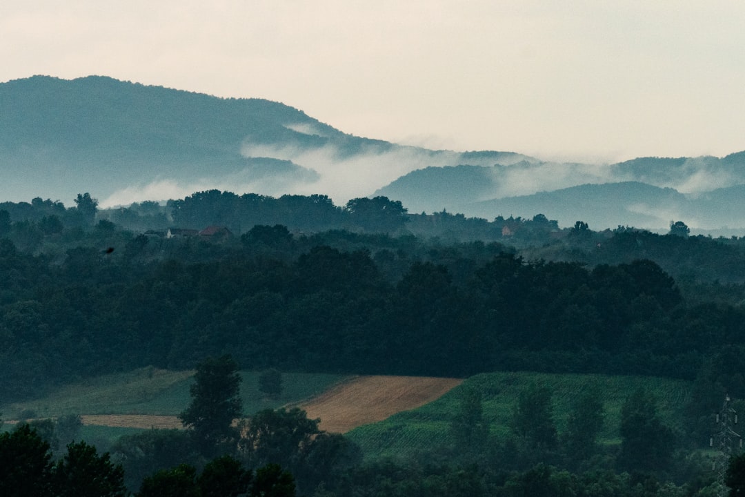 Discover Serbia's Most Instagrammable Spots: Elevate Your Travel Feed!