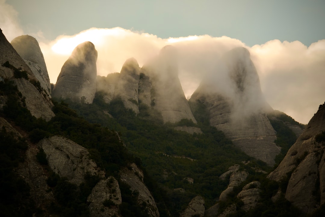 Unveiling the Soul of Spain: A Journey Through Traditional Music and Dance