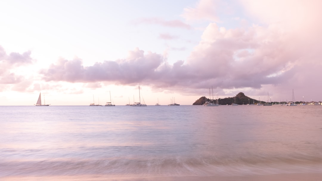 Mastering Saint Lucia's Public Transport: Your Essential Guide to Local Apps