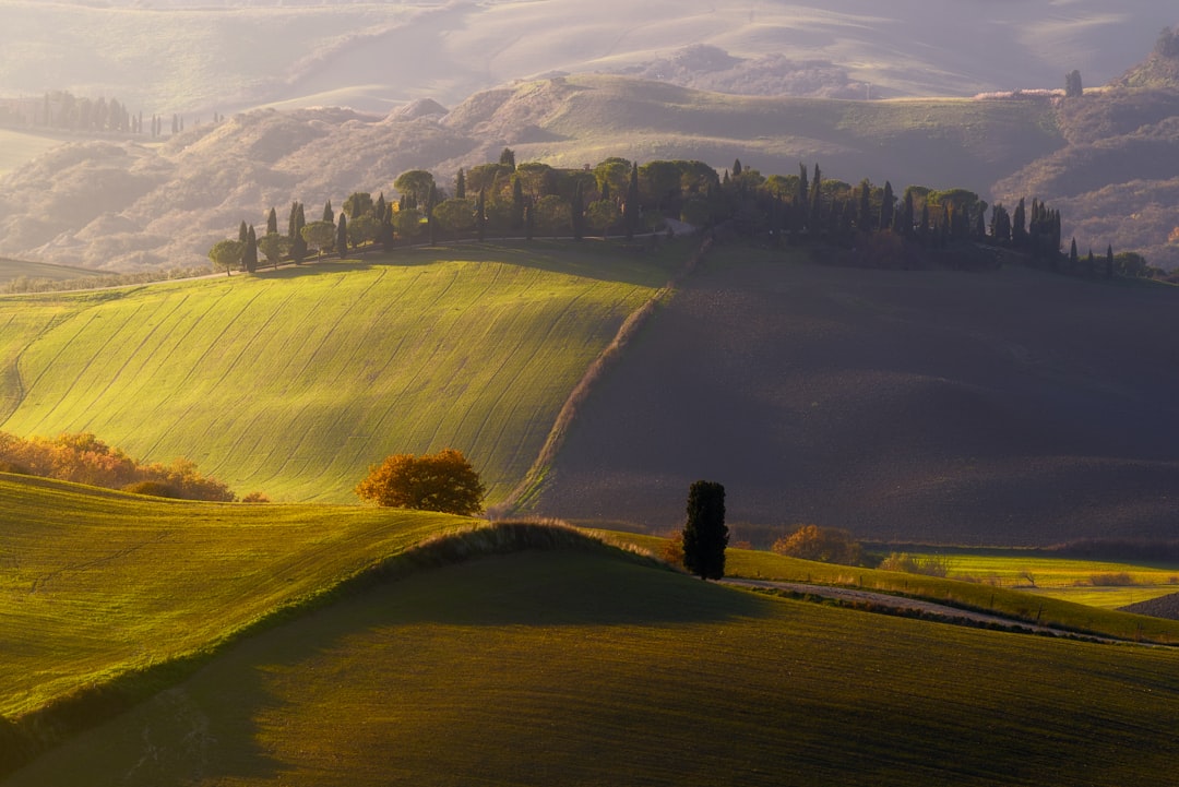 Master Italy by Train: Your Ultimate Guide to Effortless Public Transport
