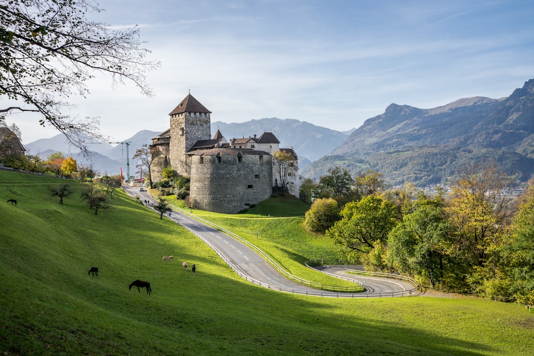 Discovering Liechtenstein's Iconic Statues: An Art Lover's Guide