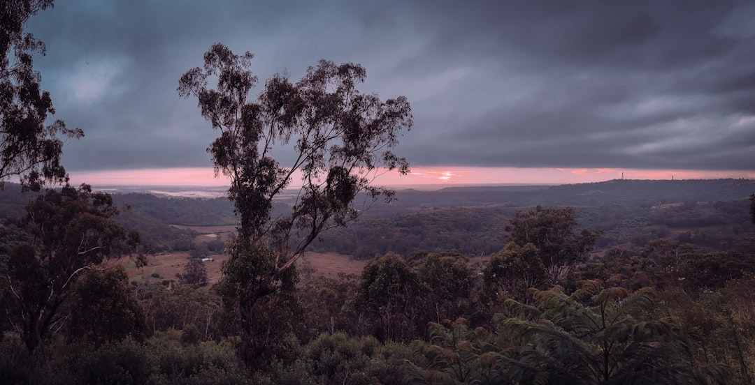 The Best Hot Springs and Thermal Baths in Australia