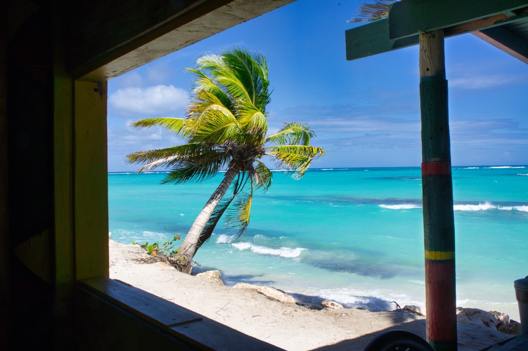 Savoring the Caribbean: Your Ultimate Guide to the Best Vegan & Vegetarian Food
