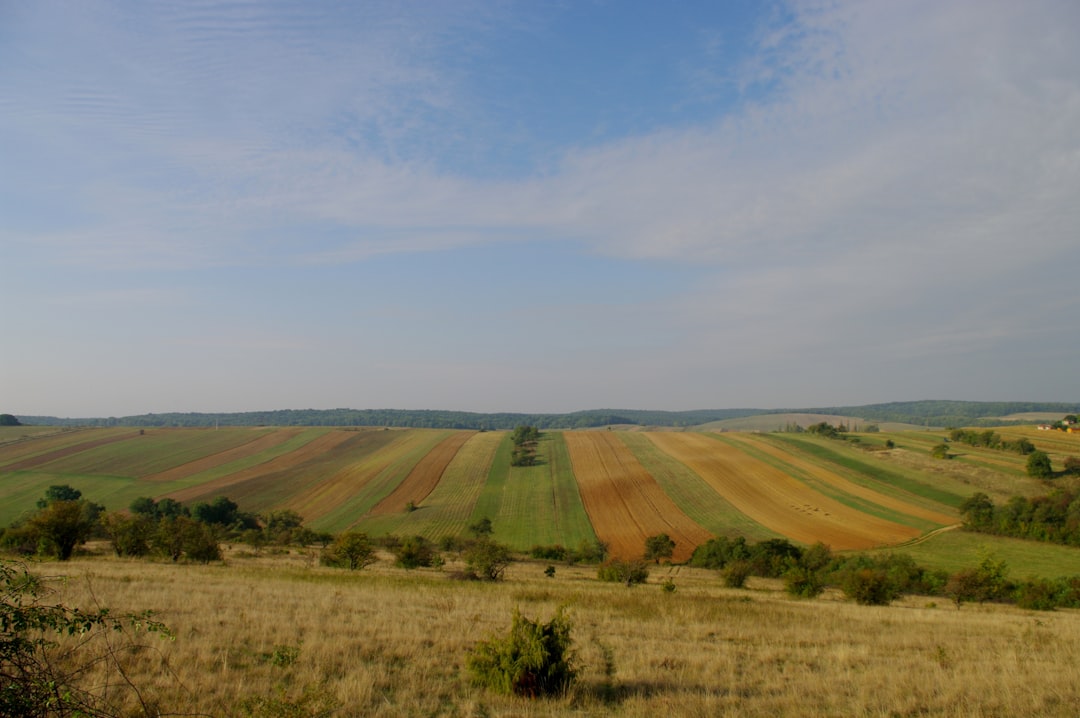 Visiting Hungary During a Major Holiday: What to Expect for an Unforgettable Trip