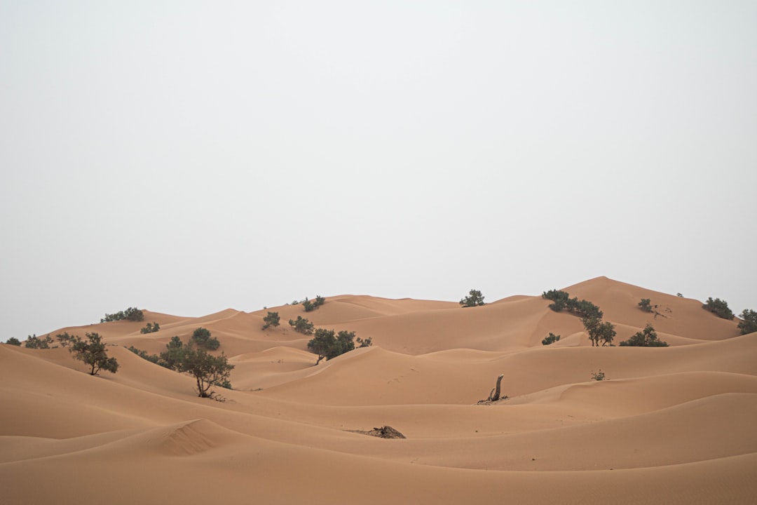 The Best Surf Spots in Morocco for All Skill Levels