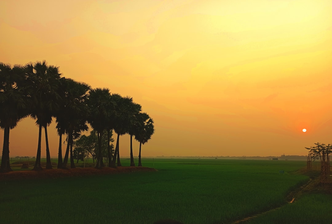 Discover Bangladesh's Breathtaking Cable Car Rides: A Sky-High Scenic Adventure