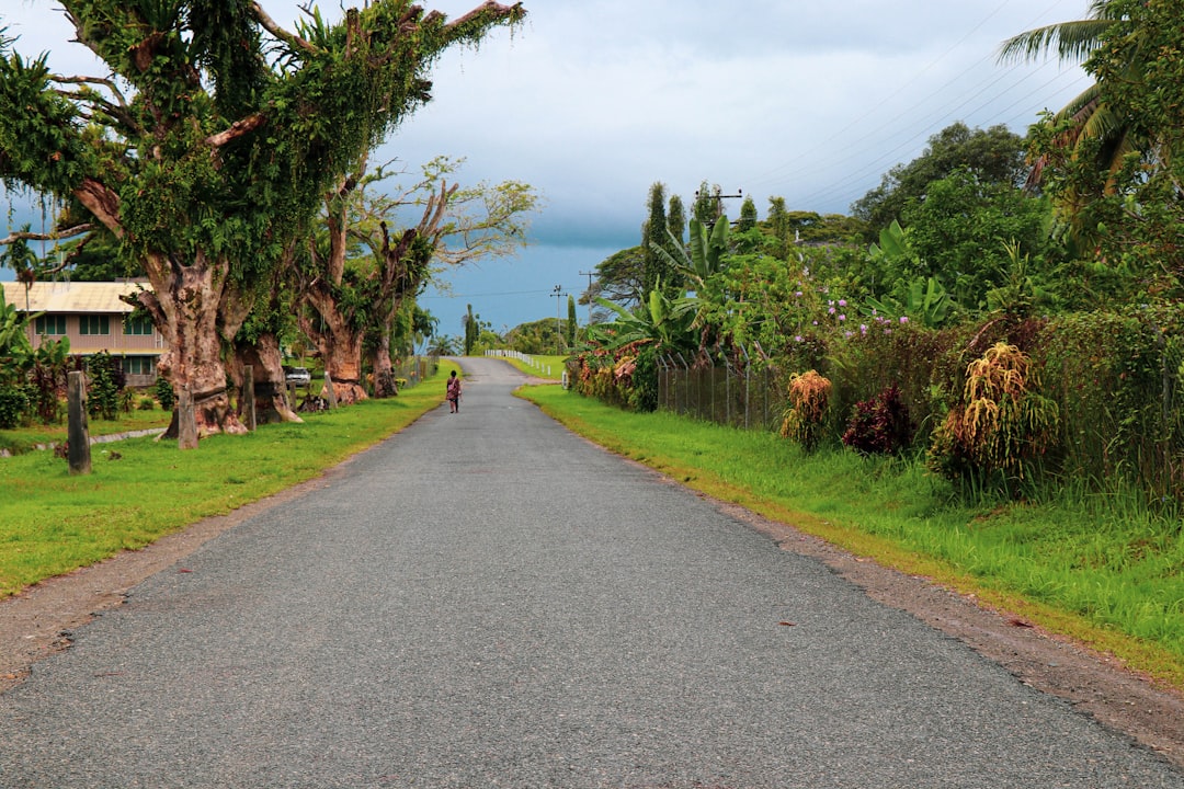 The Best Places for Bird Watching in Papua New Guinea: A Birder's Ultimate Guide