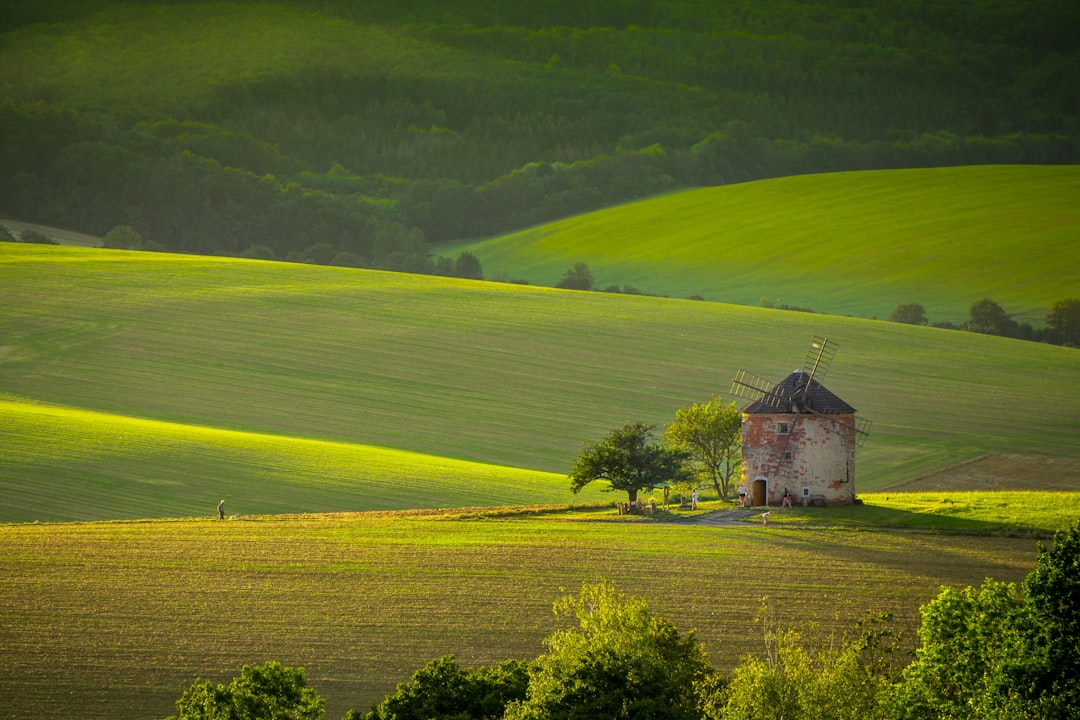 Unveiling the Rhythmic Soul: A Deep Dive into Traditional Czech Music & Dance