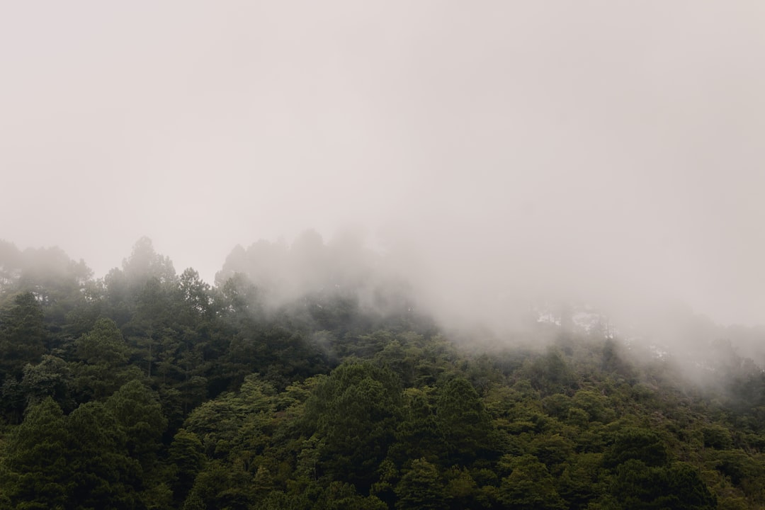 Discover Honduras: Unforgettable Scenic Bus Rides for Adventurous Travelers