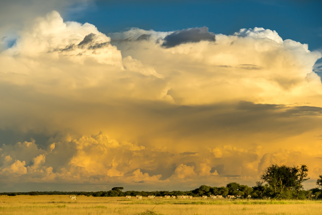 Botswana's Celestial Canvas: Top Spots for Unforgettable Stargazing & Night Photography