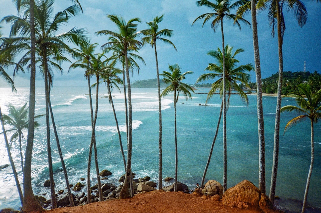 Unleash Your Ride: Discover Sri Lanka's Ultimate Mountain Biking Adventures
