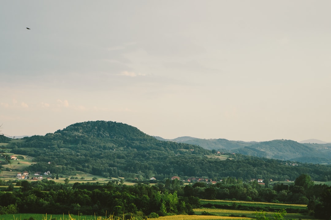 Discover Serbia's Hidden Gems: The Ultimate Guide to Underground Bars