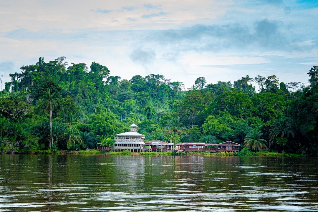 Discover Serenity: Top Yoga Retreats & Studios in Gabon for Mindful Travel
