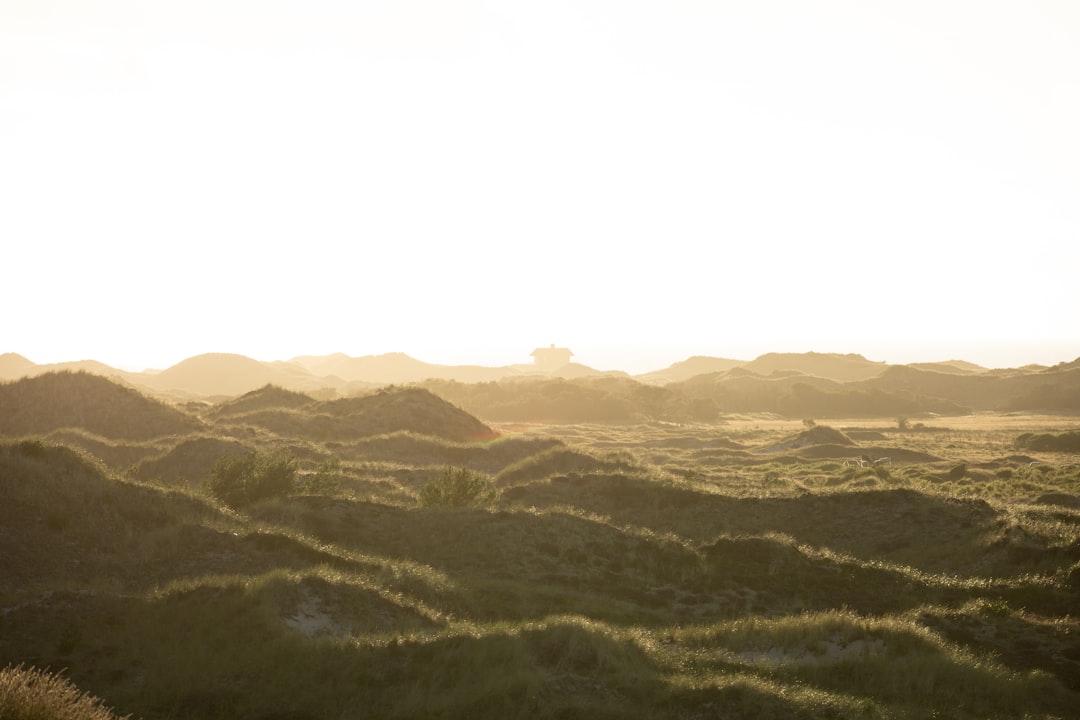Unlock Denmark: Essential Danish Phrases Every Traveler Needs