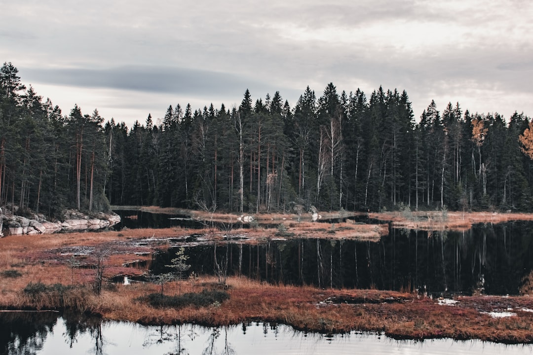 Navigating Finland Like a Pro: Your Essential Guide to Local Public Transport Apps