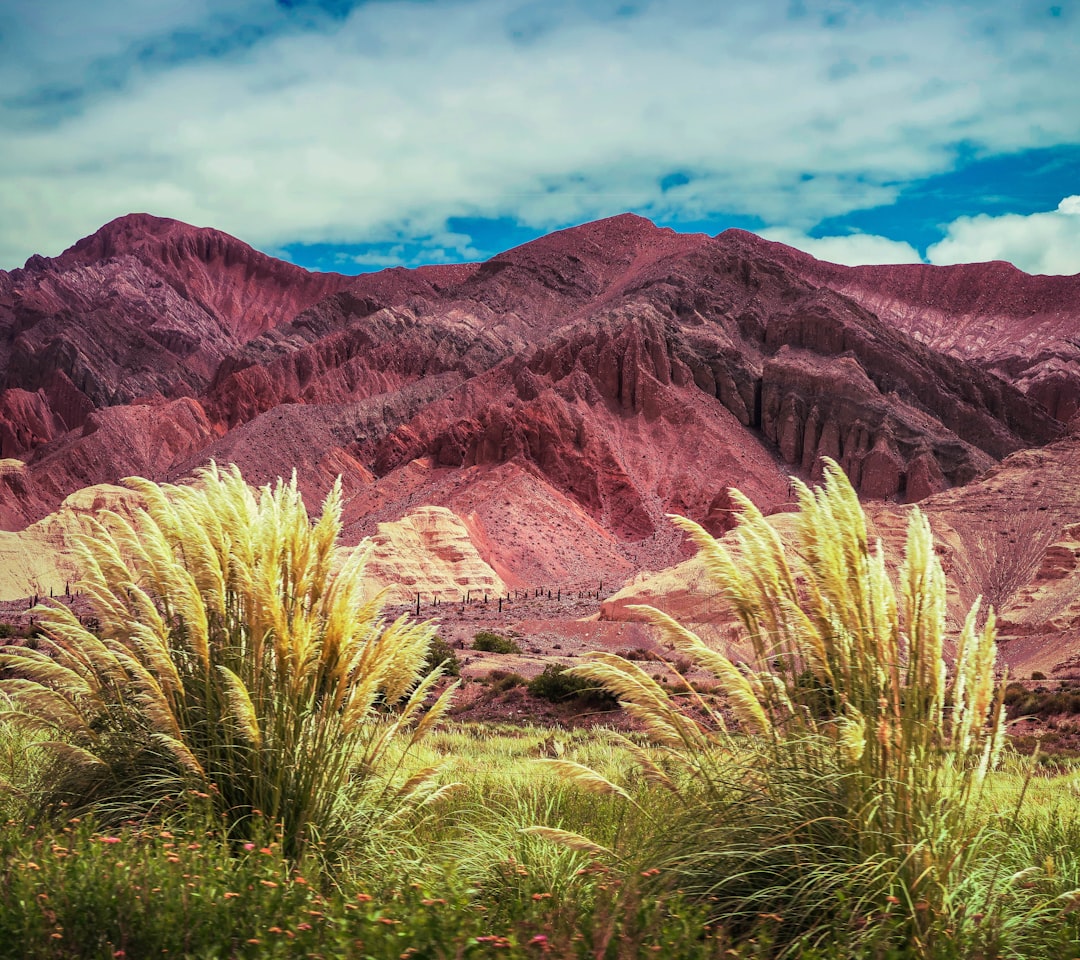Your Ultimate Guide to Getting Around Argentina: Flights, Buses & Ferries