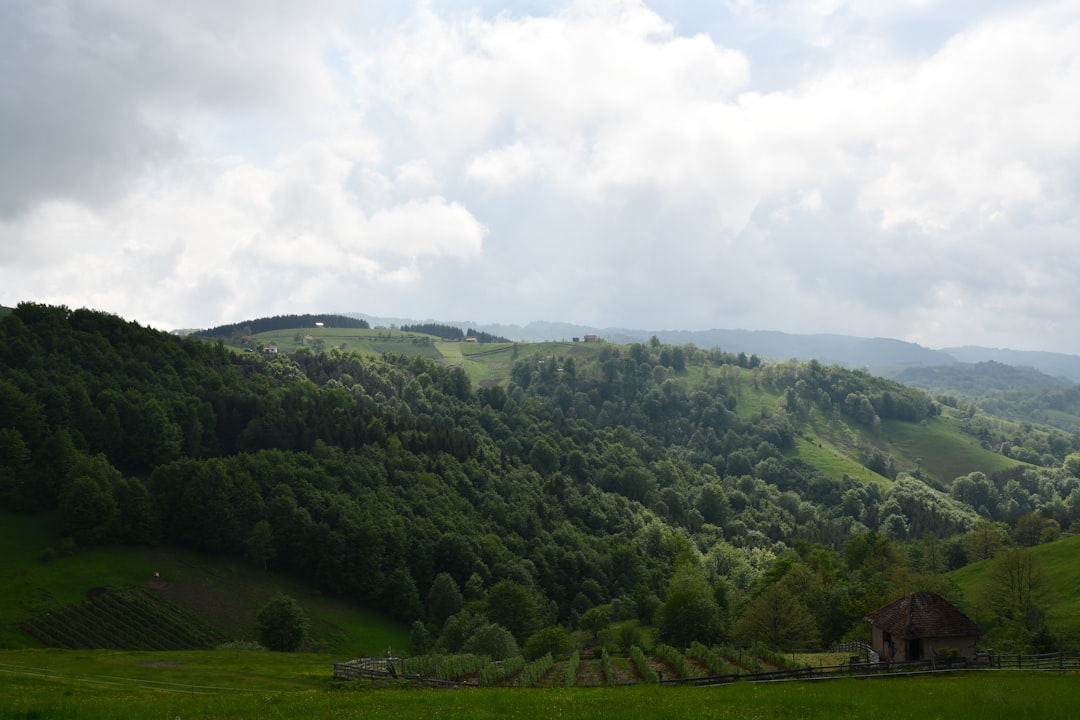 Serbia's Hidden Gems: Top Yoga Destinations for Ultimate Relaxation